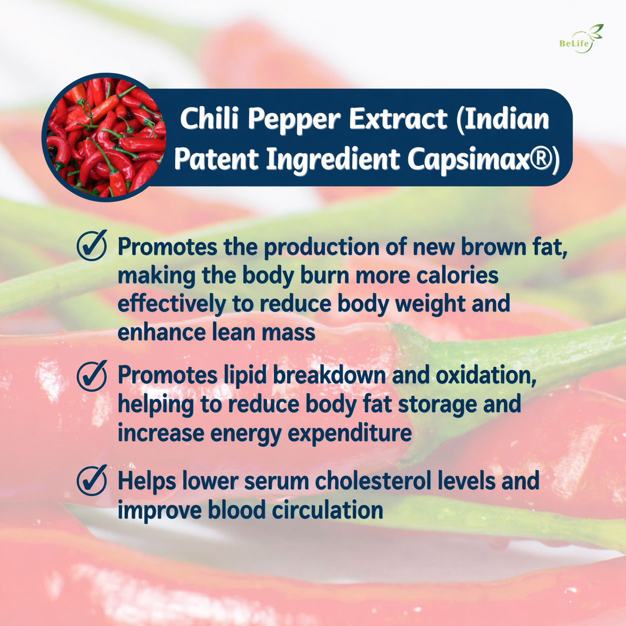 ChatGPT-Image-Apr-23,-2026,-08_58_20-PM