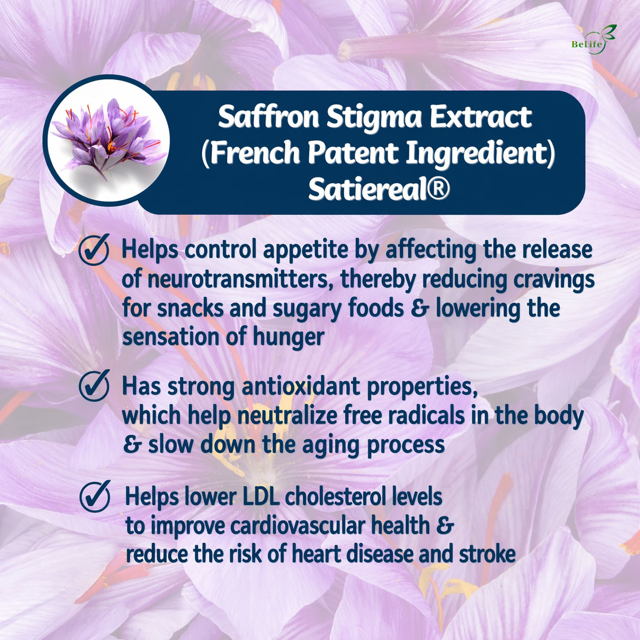 ChatGPT-Image-Apr-23,-2026,-08_58_27-PM