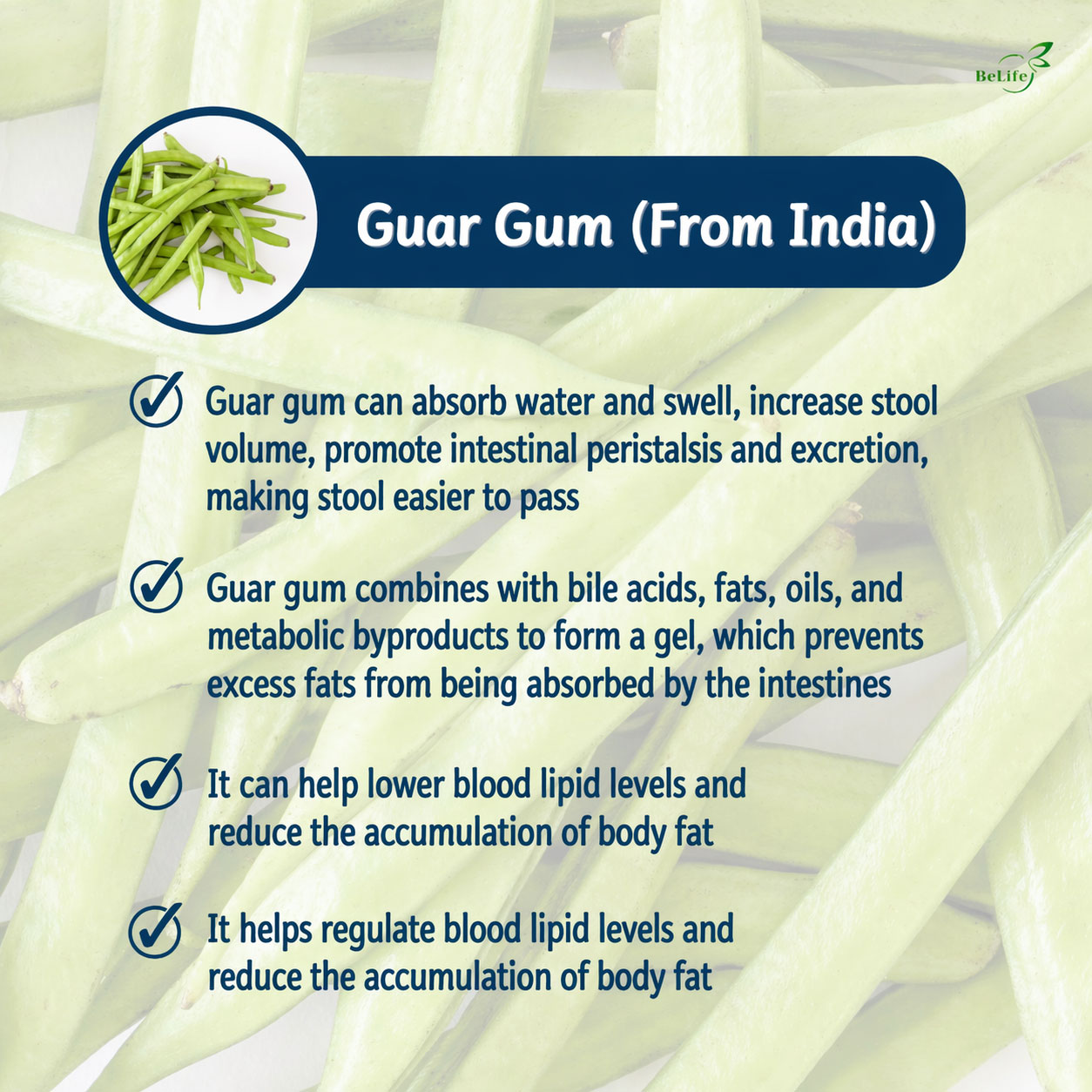 ChatGPT-Image-Apr-23,-2026,-08_58_55-PM