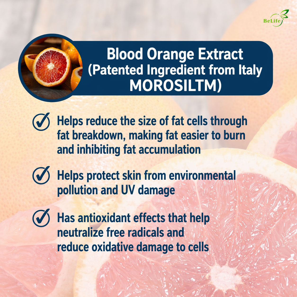 ChatGPT-Image-Apr-23,-2026,-09_02_24-PM