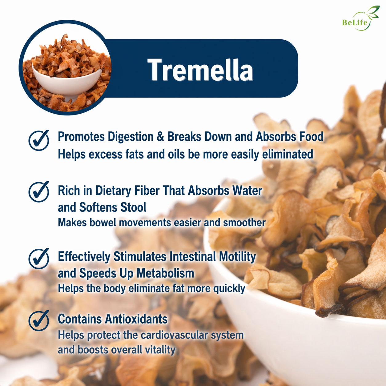 ChatGPT-Image-Apr-23,-2026,-09_02_35-PM