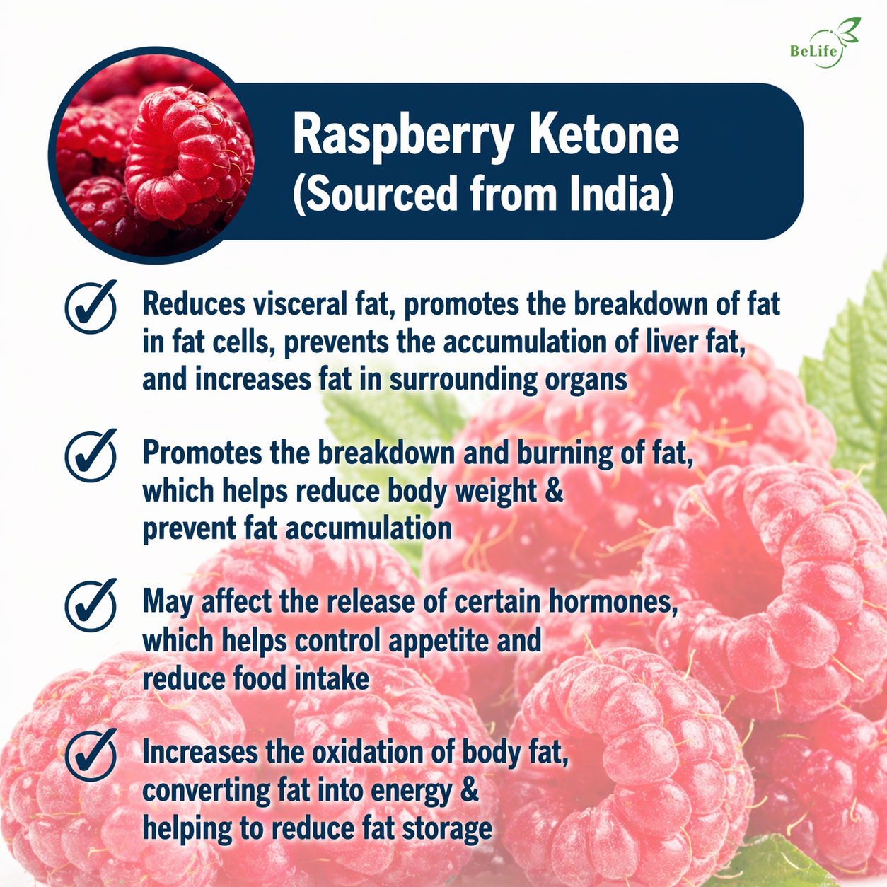 ChatGPT-Image-Apr-23,-2026,-09_02_40-PM