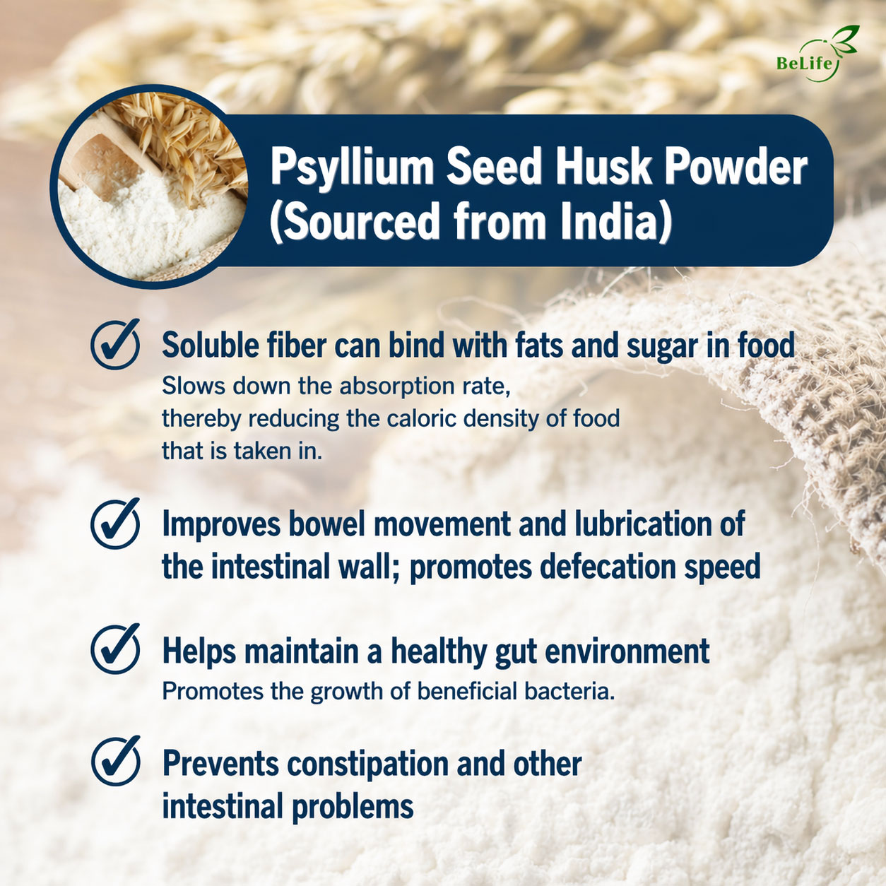 ChatGPT-Image-Apr-23,-2026,-09_02_45-PM